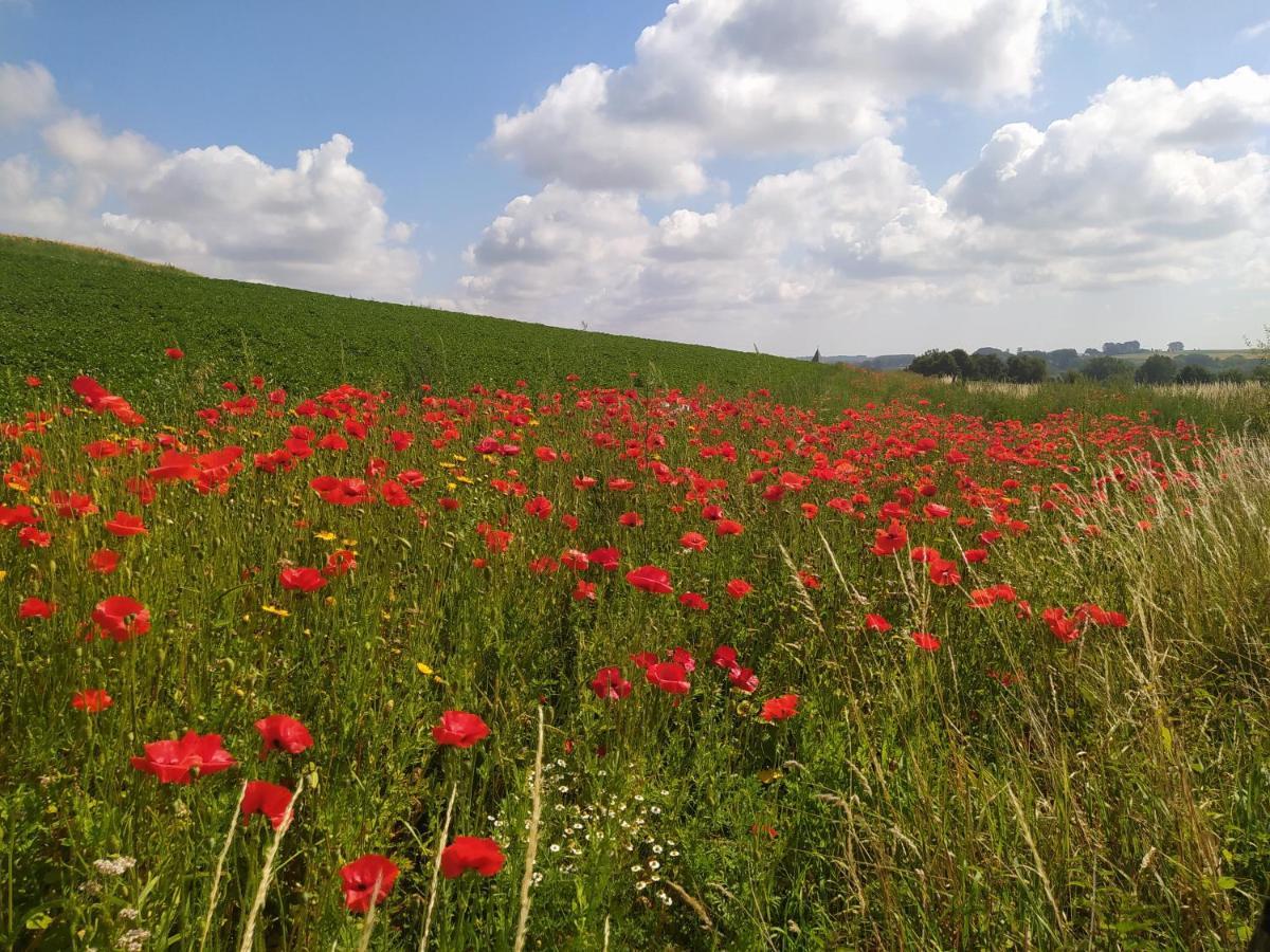 Maisonnette Frea Zwalm Zewnętrze zdjęcie